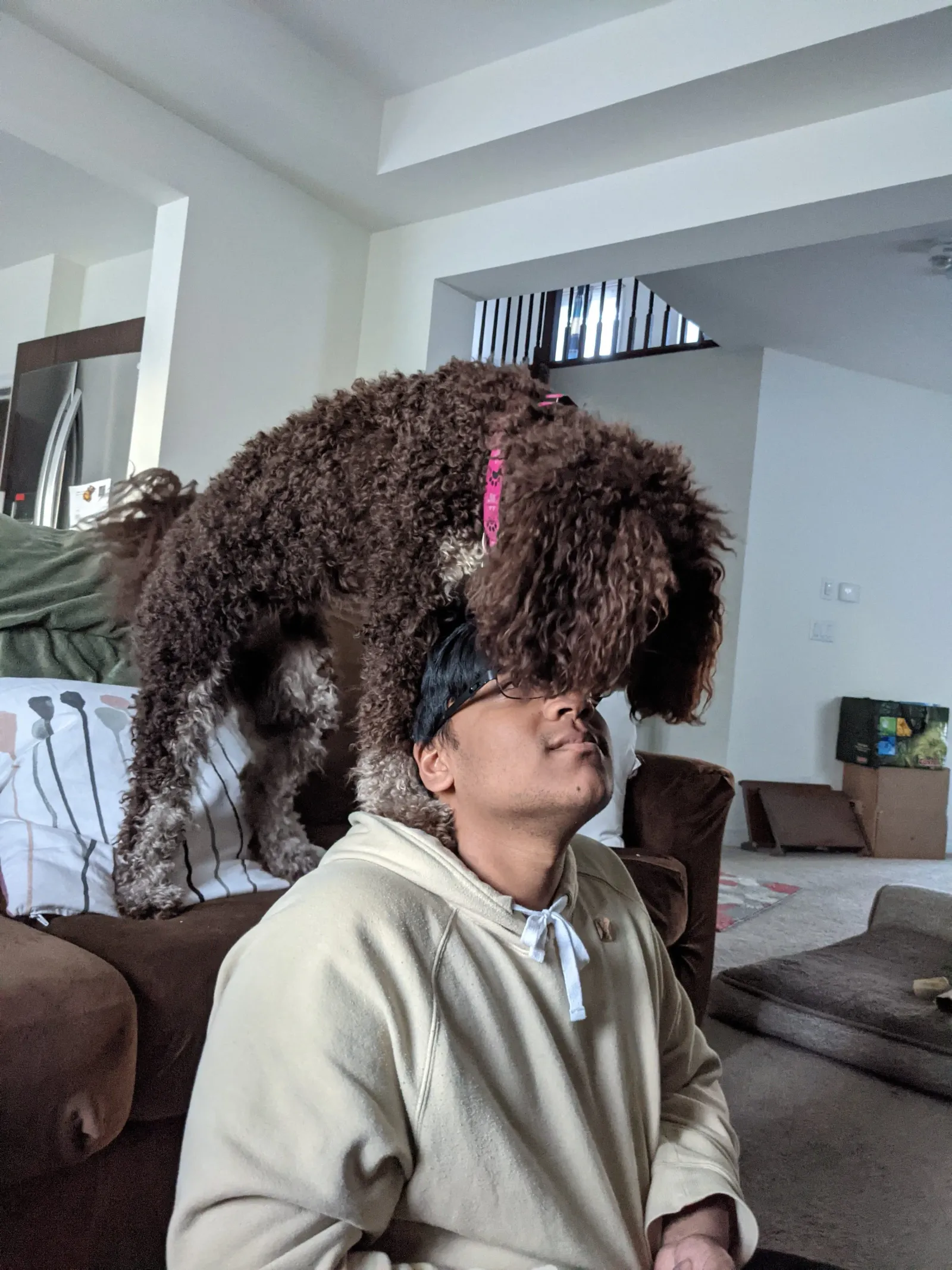 Sentry engineer with a curly-haired dog draped over his shoulders on a couch