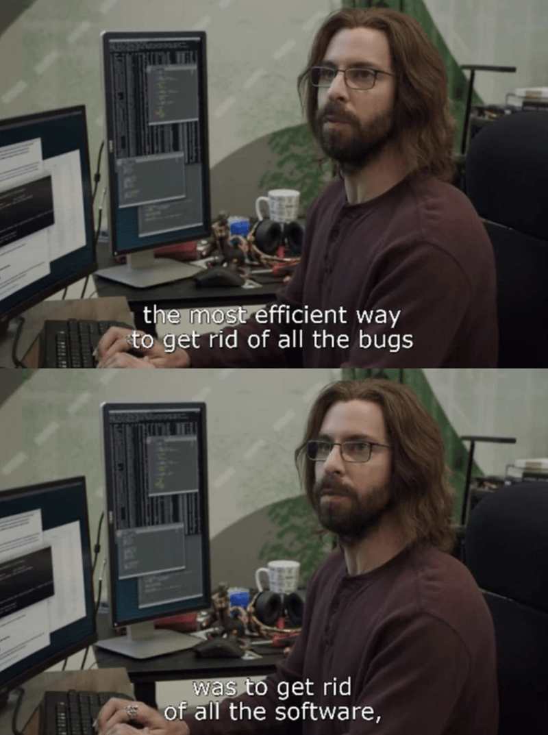 Gilfoyle from the TV show Silicon Valley sitting in front of a computer, saying "The most efficient way to get rid of all the bugs was to get rid of all the software"